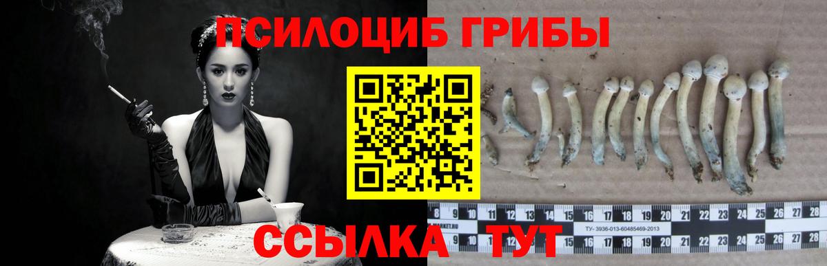 Псилоцибиновые грибы мухоморы  где продают   Заринск  Вход с VPN 